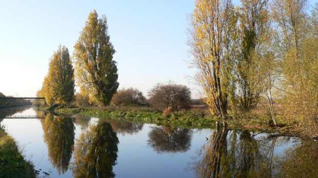 A photo of Tottenham Marshes
