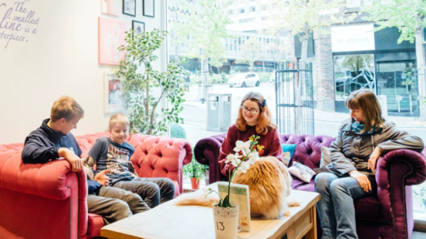 Kitty Cafe Nottingham - Featured Image - 1
