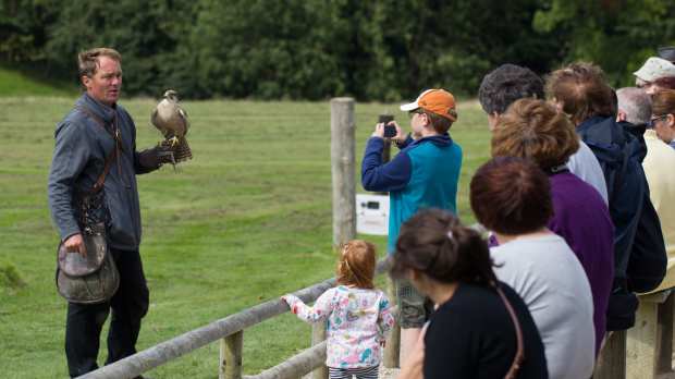 National Centre for Birds of Prey - Featured Image - 1