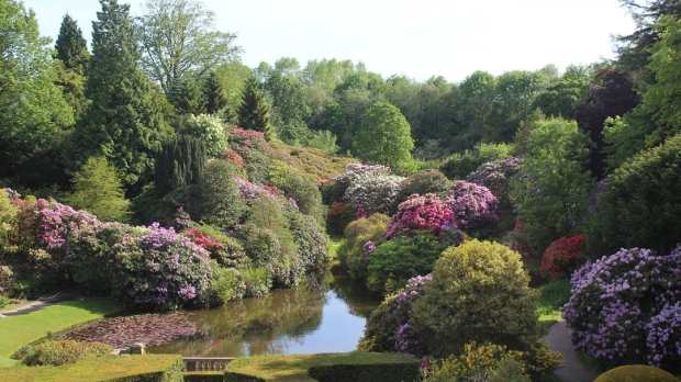 Biddulph Grange Garden - Featured Image - 1