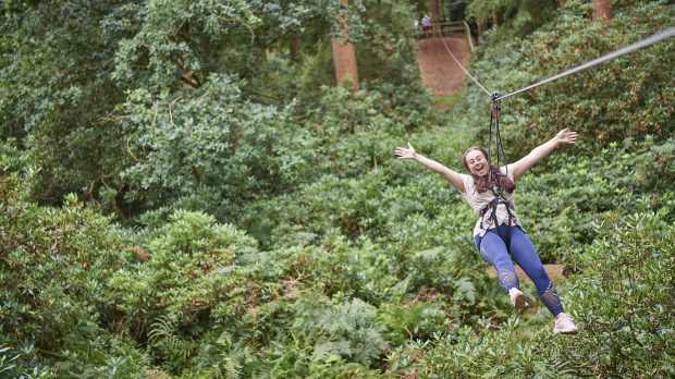 Go Ape Thetford - Featured Image - 1
