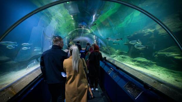 Deep Sea World - Featured Image - 1