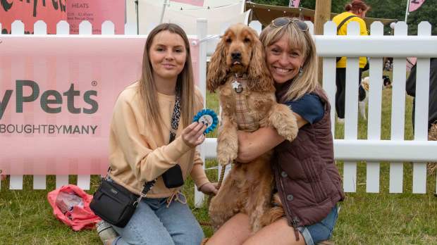 DogFest at Loseley - Featured Image - 1