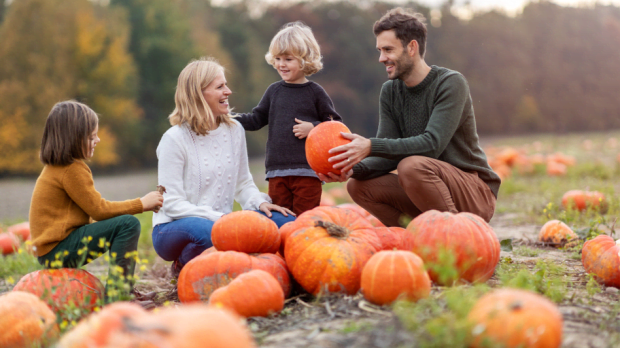 Hatters Farm Pumpkin Patch - Featured Image - 1