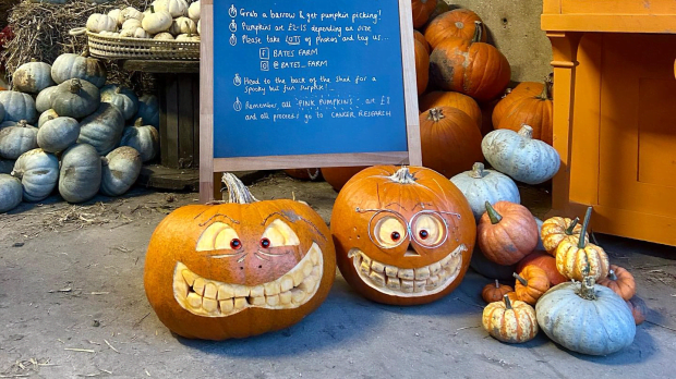 Bates Farm Pumpkin Patch - Featured Image - 1