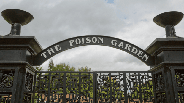 Poison Garden - Featured Image - 1
