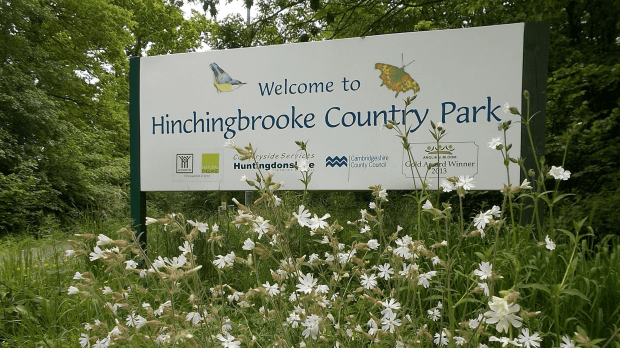Hinchingbrooke Country Park - Featured Image - 1