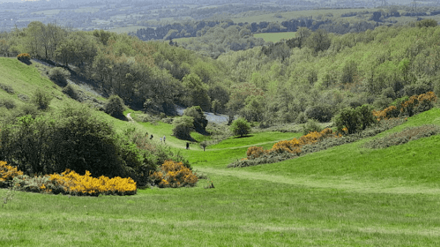 Waseley Hills Country Park - Featured Image - 1