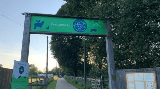 Foal Farm Animal Rescue Centre - Featured Image - 1