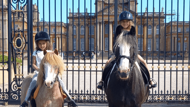 Pony Pursuits - Featured Image - 1