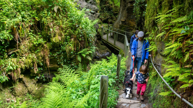Lydford Gorge - Featured Image - 1