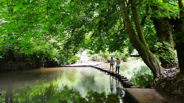 Box Hill - Featured Image - 1