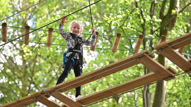 Go Ape Salcey Forest - Featured Image - 1