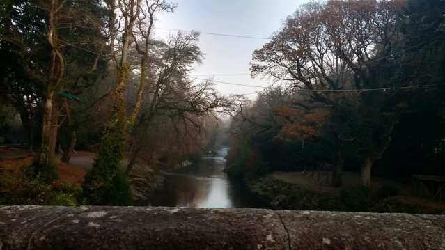 River at River Dart Country Park in Newton Abbot