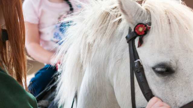 Girl horse riding at Lavant House Stables in Chichester