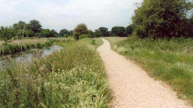 Walking path at Shepherd Meadows in Sandhurst