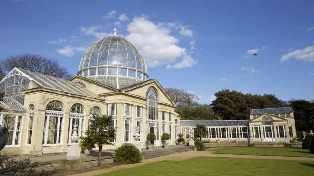 Syon Park Conservatory in Brentford