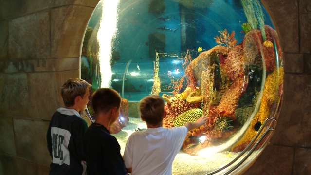 Blue Reef Aquarium Portsmouth - Featured Image - 1