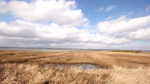 Clear day at Montrose Basin Nature Reserve