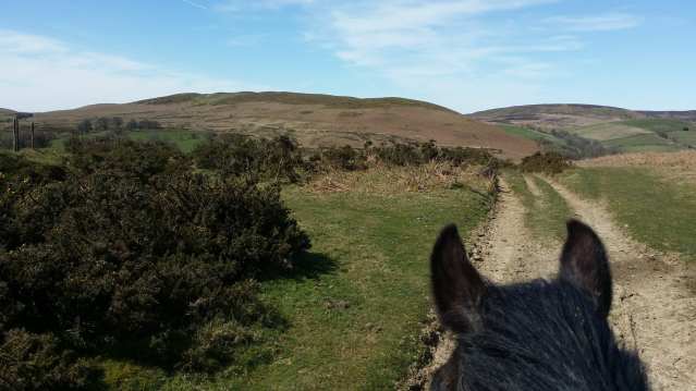 Riding a horse at Bryngwyn Riding Centre in Kington