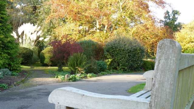 Bench at Braintree and Bocking Public Gardens 
