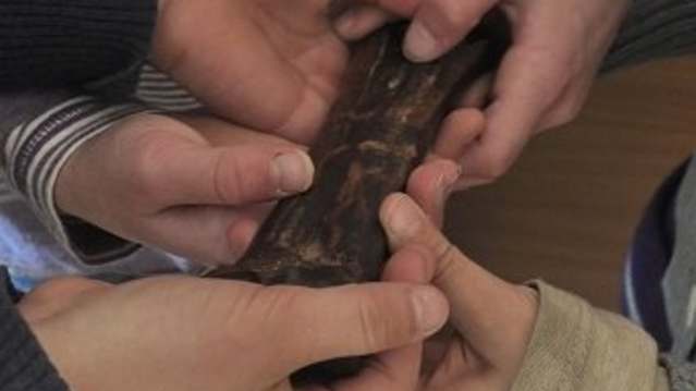 Artefact at Museum of Oxford