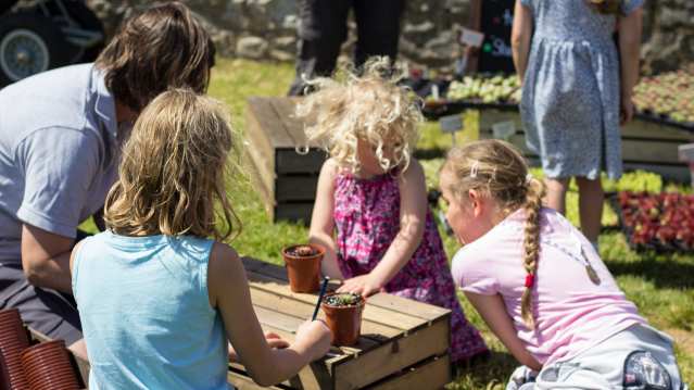 Kids planting at St Michaels Mount in Marazion