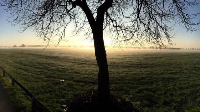 Sunrise at Sandall Beat Wood in Doncaster