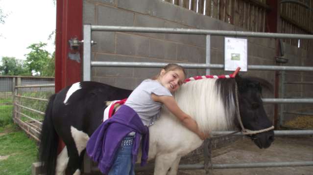 Girl with pony at Cotebrook Shire Horse Centre in Cotebrook