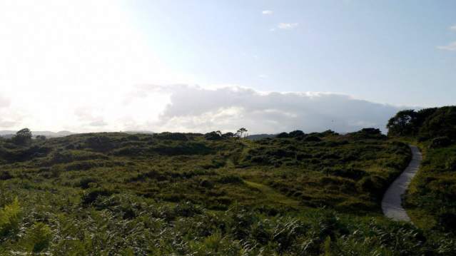 Clear day at Murlough National Nature Reserve in Dundrum