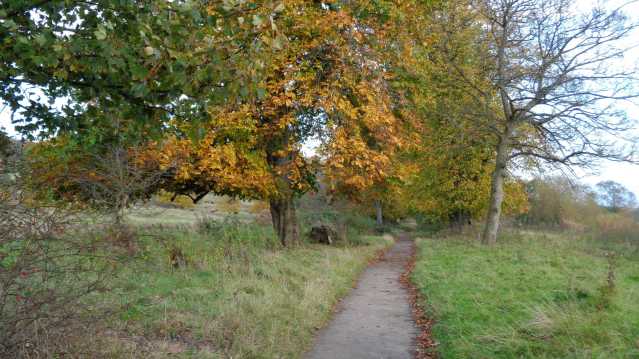 Path at RSPB Scotland Barons Haugh Nature Reserve in Motherwell