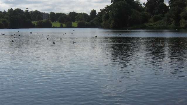 Mote Park - Featured Image - 1