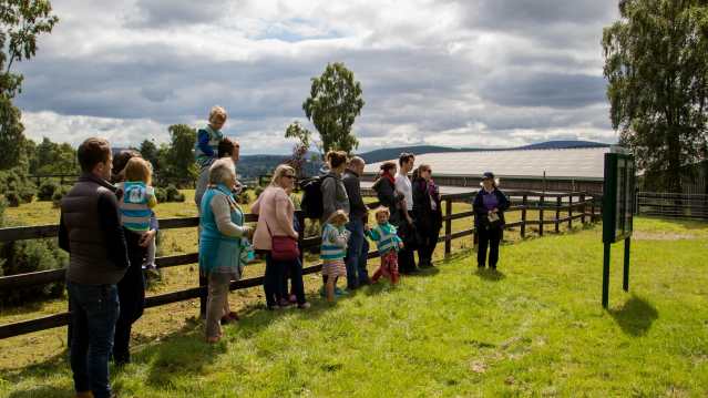 Families at Belwade Farm World Horse Welfare in Aboyne