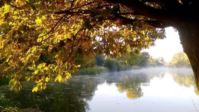 Lake at The Vyne in Basingstoke