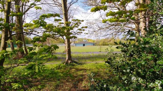Woodland area at Westmorland Park in Bracknell
