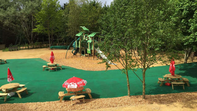 Outside play area at Ponderosa Zoo 