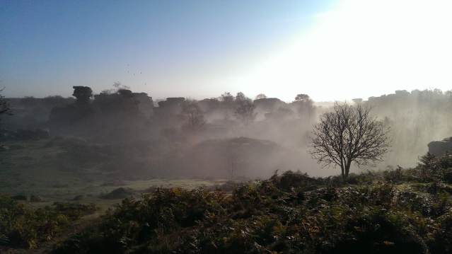 Mist at Brimham Rocks in Harrogate