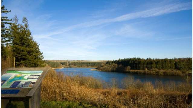 Lake at Wistlandpound in Kentisbury