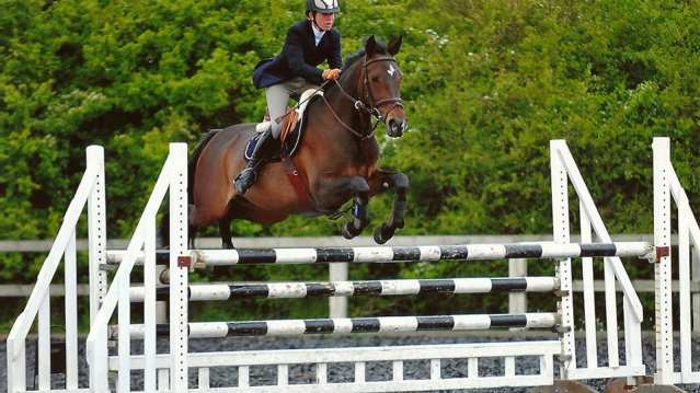 Rider and horse on course at Riding Farm Equestrian Centre in Hildenborough