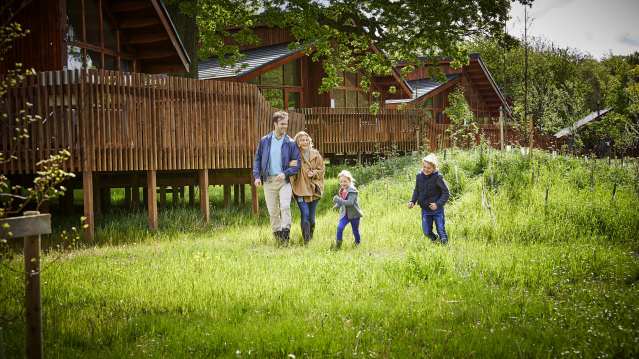 Blackwood Forest - Featured Image - 3