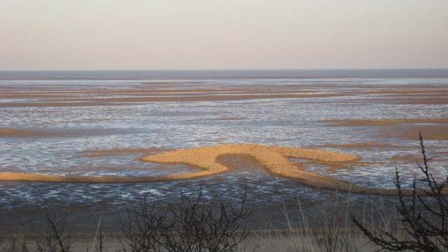 The beach at Saltfleetby Theddlethorpe Dunes Nature Reserve