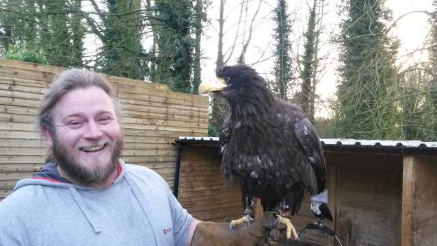 Bateleur Eagle at The Falconry Centre in Stourbridge