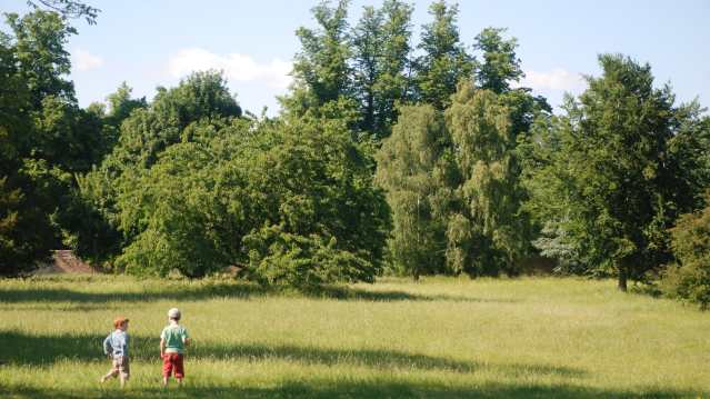 Boys at Wandlebury Country Park in Cambridge