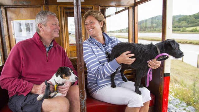 Visitors and dogs travelling on tram at Seaton Tramway in Seaton