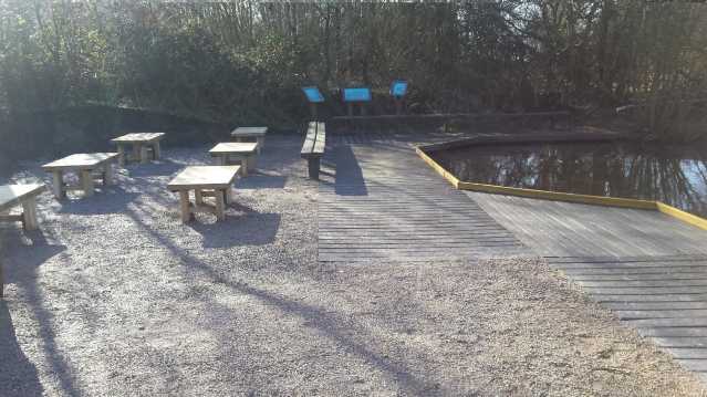 Outdoor seating at RSPB Fairburn Ings in Castleford