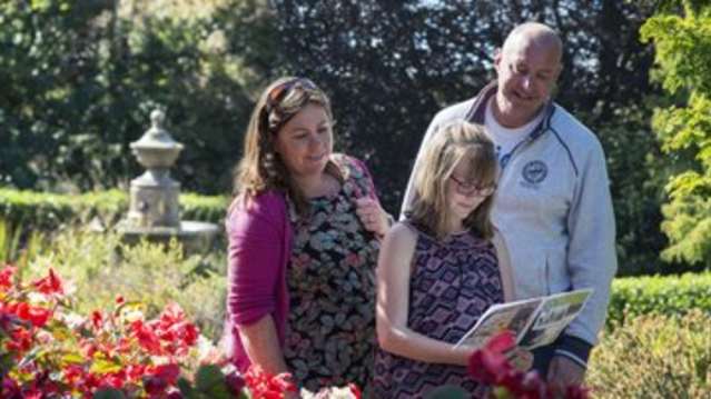 Family reading map of The Rochester Mystery Trail
