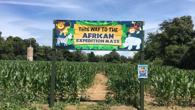 African expedition maze at Quex Maize Maze in Birchington