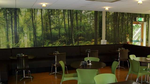 Cafe at Cwmcarn Forest in Caerphilly