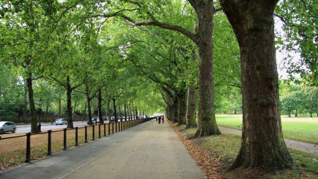 Walking path at Green Park in London
