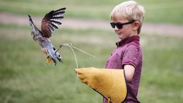 Boy in Birds of Prey at Avoncroft Museum of Historic Buildings in Bromsgrove
